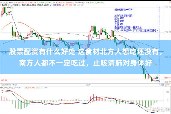 股票配资有什么好处 这食材北方人想吃还没有，南方人都不一定吃过，止咳清肺对身体好