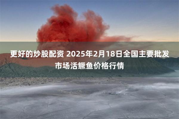 更好的炒股配资 2025年2月18日全国主要批发市场活鳜鱼价格行情