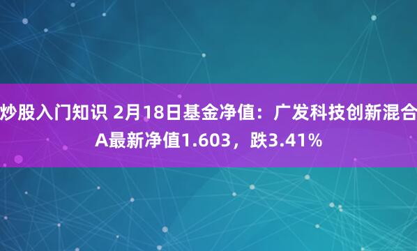 炒股入门知识 2月18日基金净值：广发科技创新混合A最新净值1.603，跌3.41%